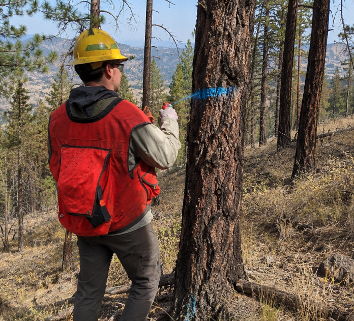 Eastern Washington Forester