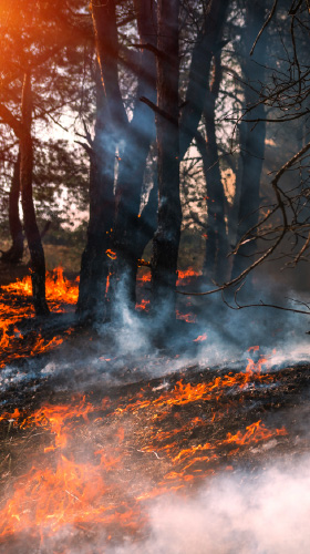 Fire Needing Firefighting