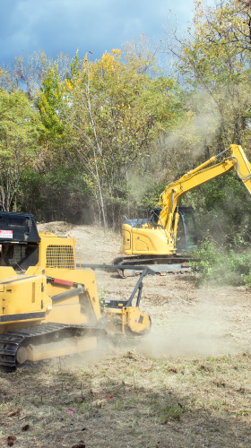 Fire Mitigation Work