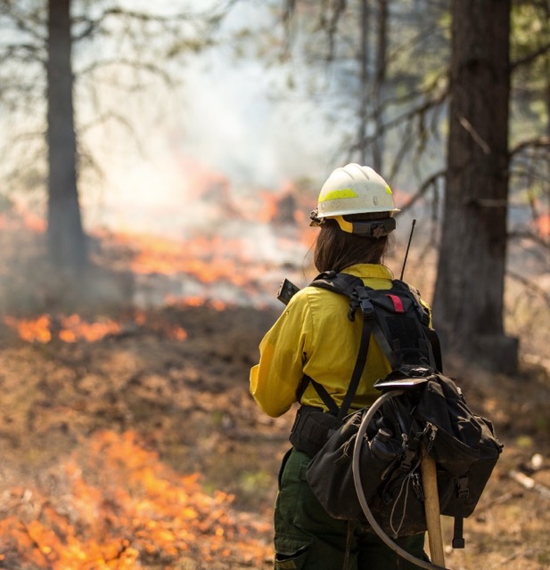 Wildland Firefighting Logo