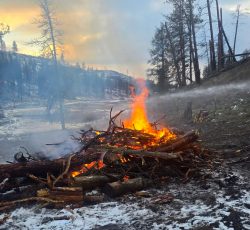 Controlled burn from a fire mitigation project.
